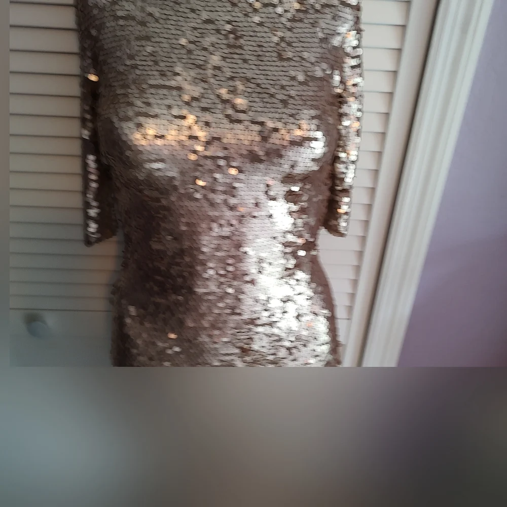 BCBG Maxazaria Fitted Mesh And Sequin Dress - Picture 5 of 9